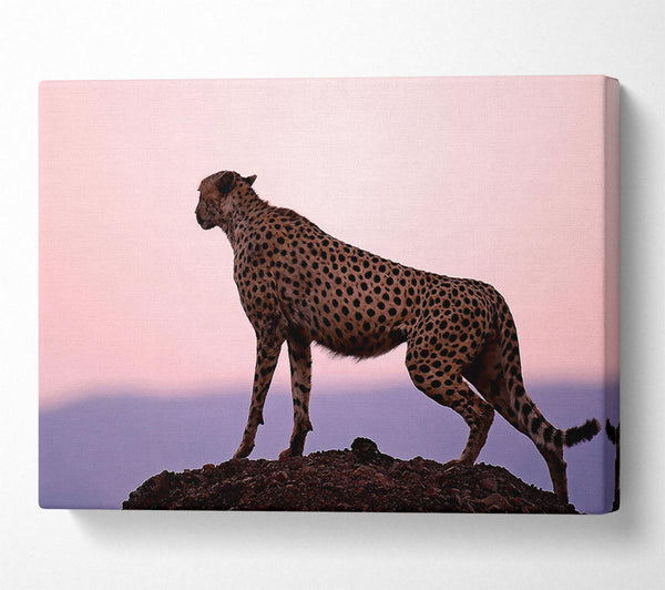  A Canvas Print of Cheetah Habitat Canvas Print