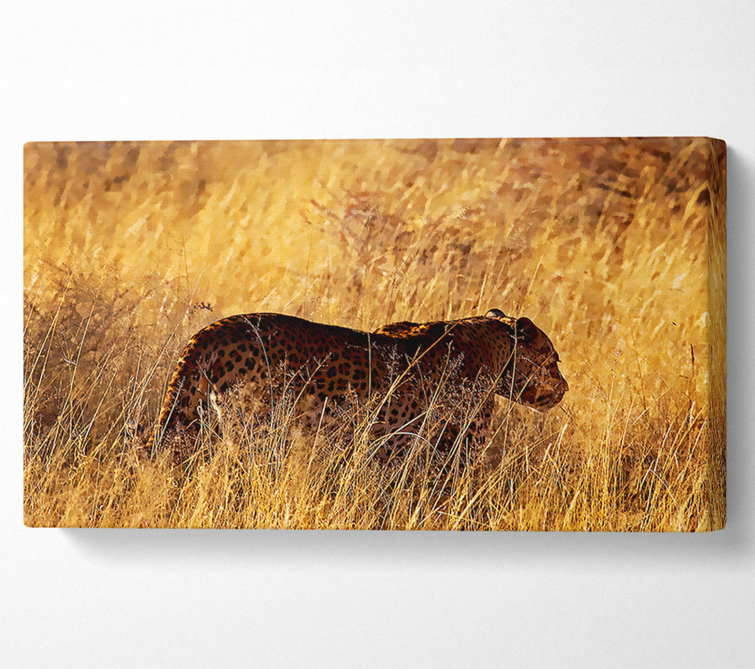  A Canvas Print of Cheetah Hunt Canvas Print
