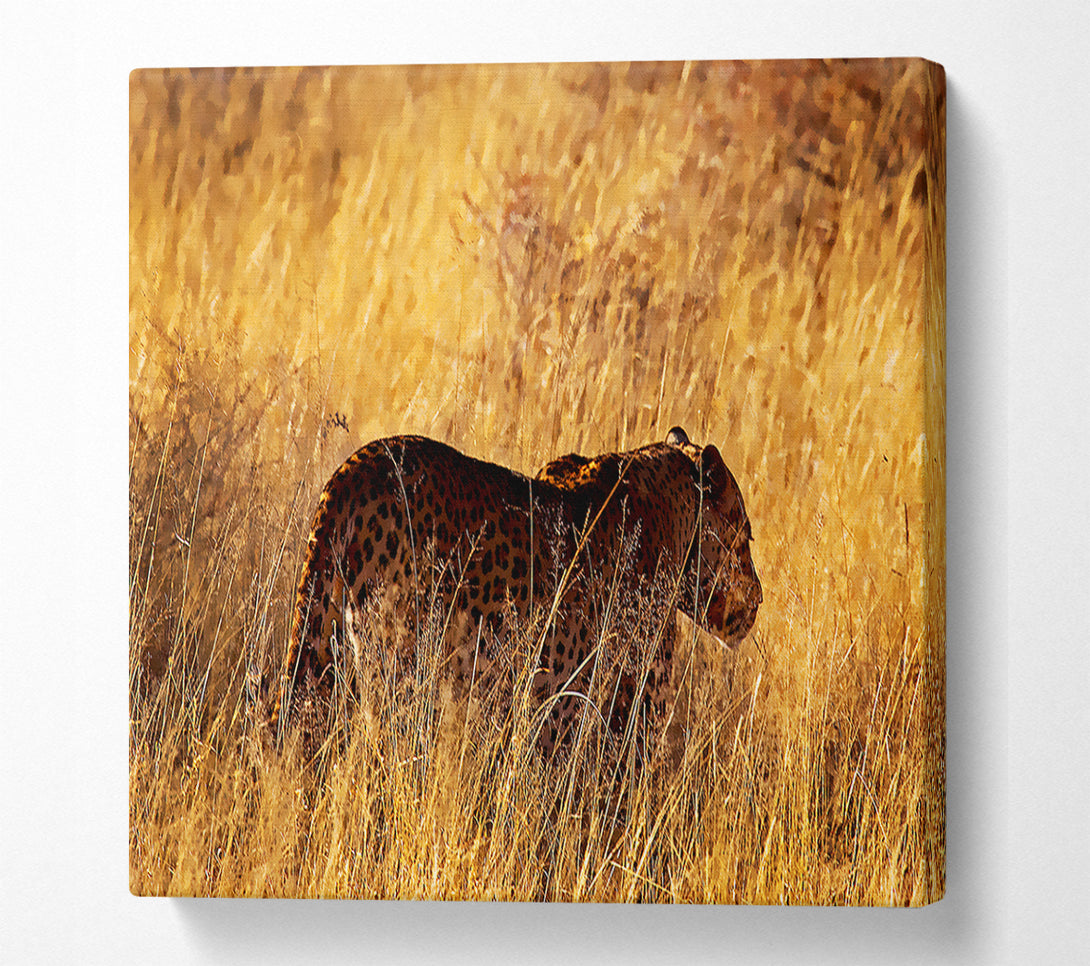  A Canvas Print of Cheetah Hunt Canvas Print