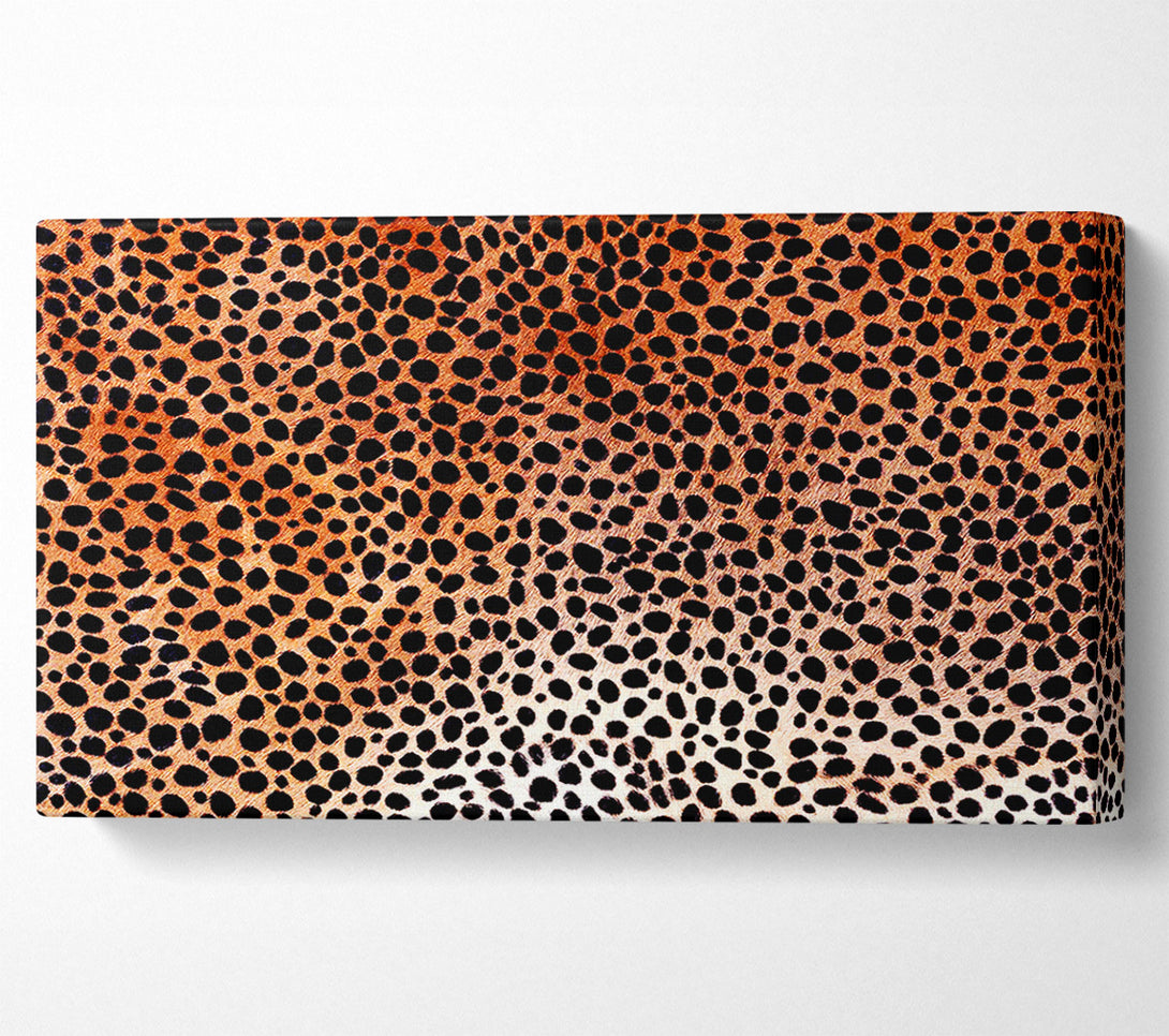  A Canvas Print of Cheetah Skin Canvas Art