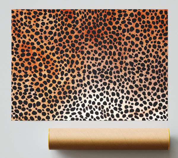 Cheetah Skin Poster