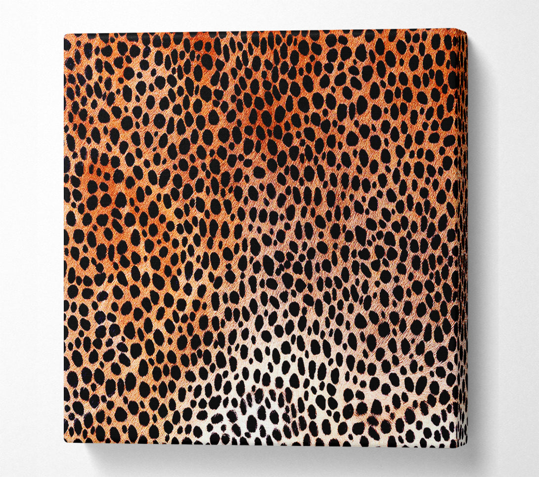 A Canvas Print of Cheetah Skin Canvas Art