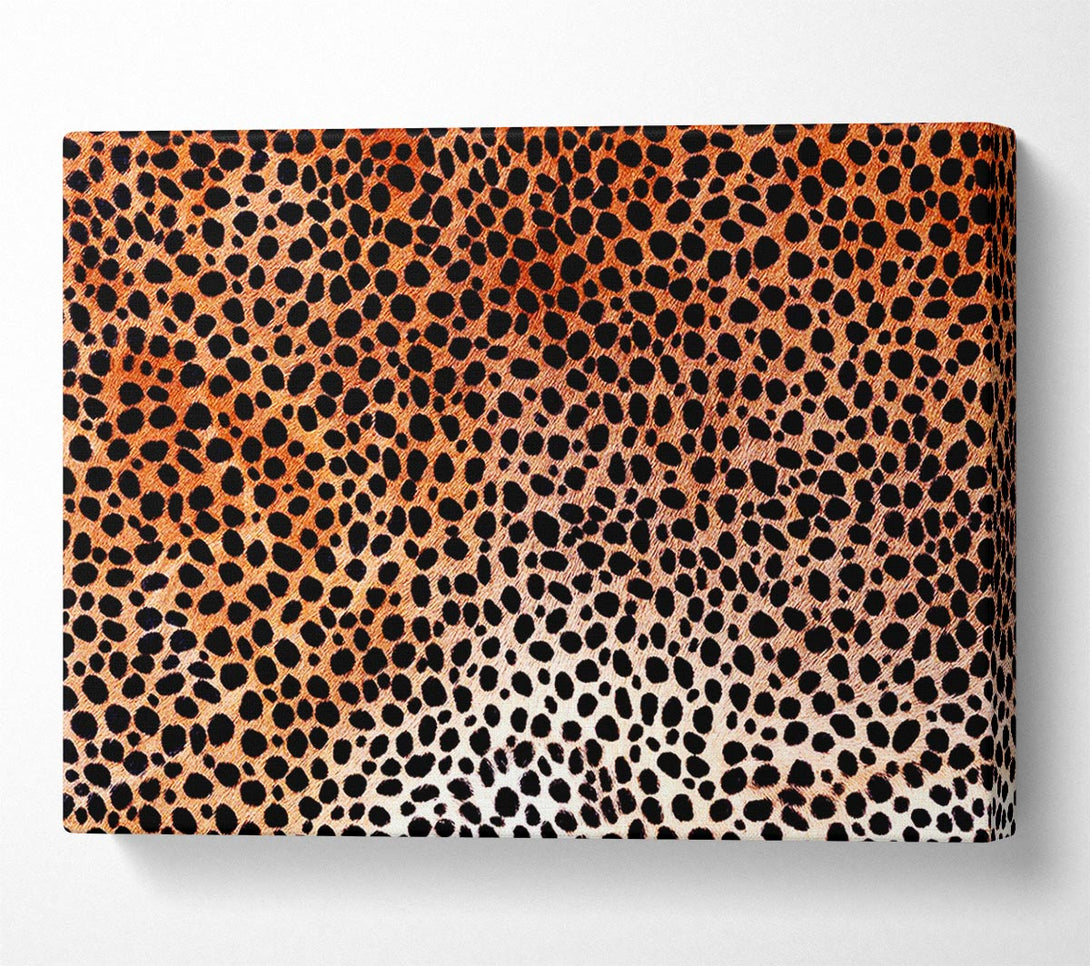  A Canvas Print of Cheetah Skin Canvas Art