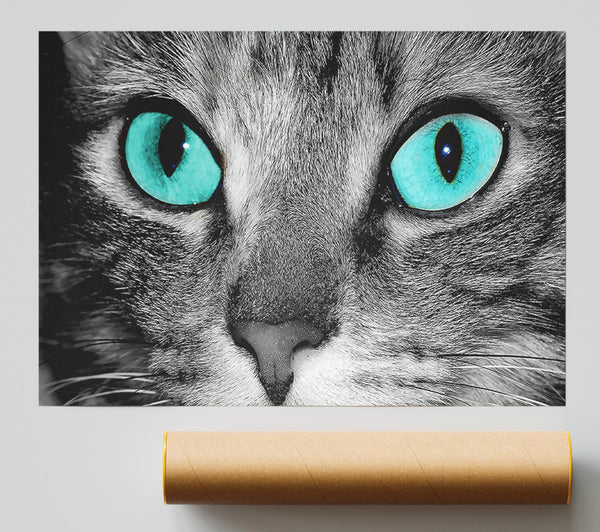 Close Up Of A Grey Tabby Cat Face Print