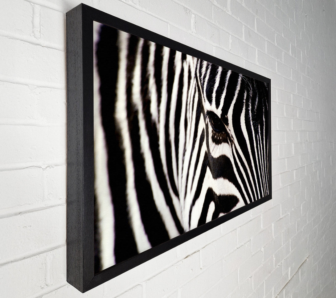 A Canvas Print of Close-up Face Zebra Canvas Art