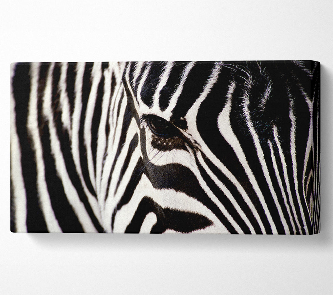  A Canvas Print of Close-up Face Zebra Canvas Art