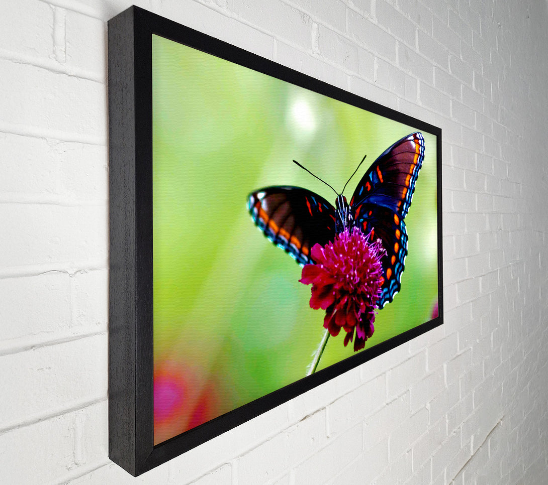  A Canvas Print of Colourful Butterfly Flower Canvas Wall Art