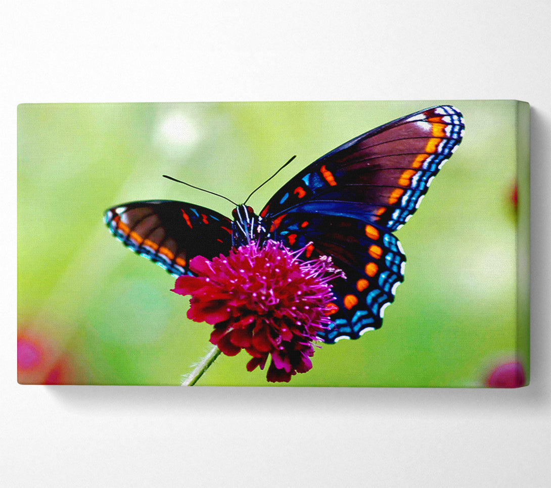  A Canvas Print of Colourful Butterfly Flower Canvas Wall Art