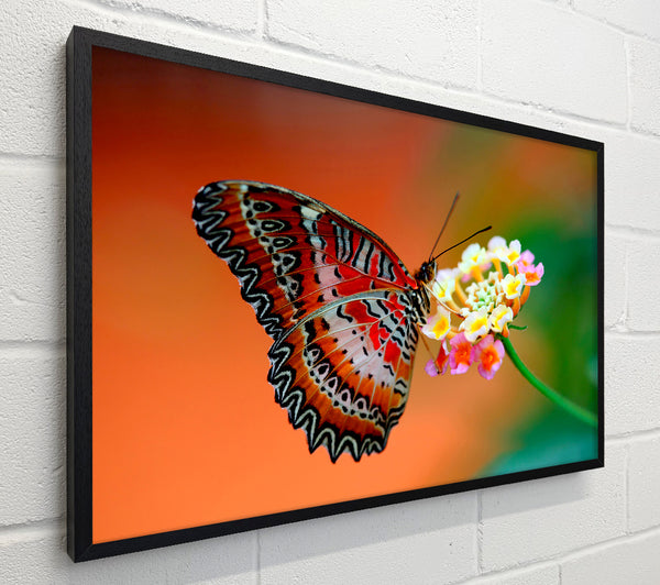 Colourful Butterfly Rests