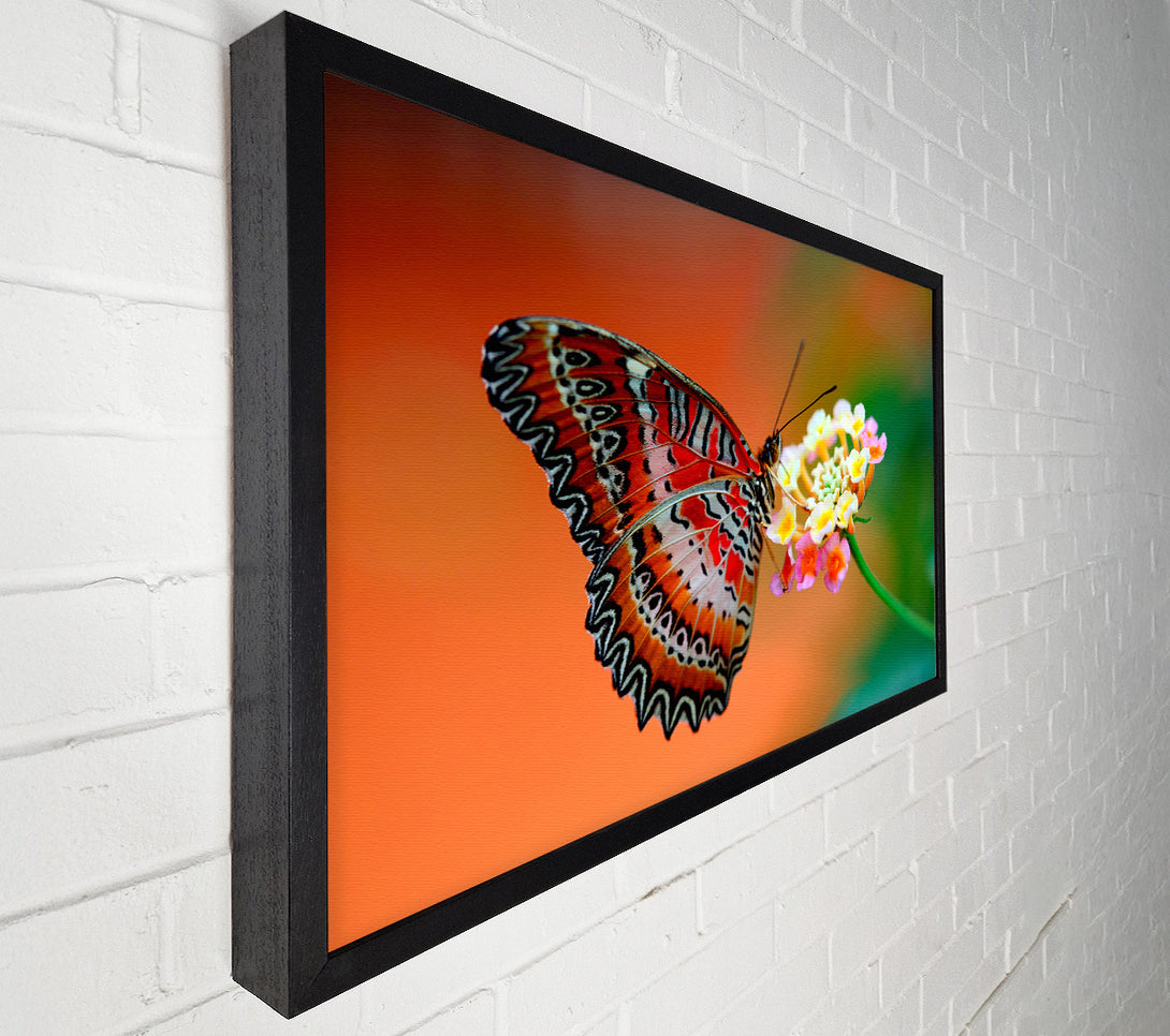  A Canvas Print of Colourful Butterfly Rests Canvas Wall Art