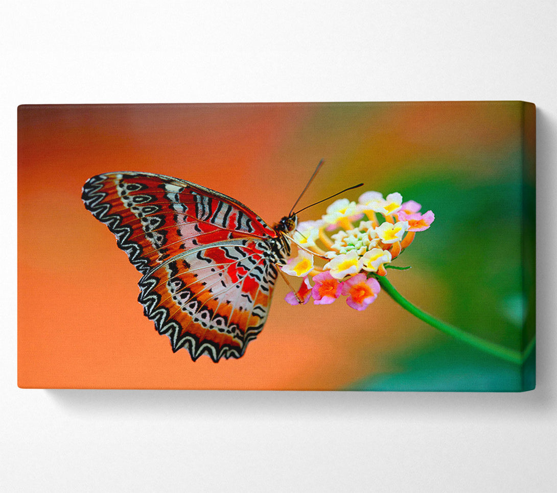  A Canvas Print of Colourful Butterfly Rests Canvas Wall Art