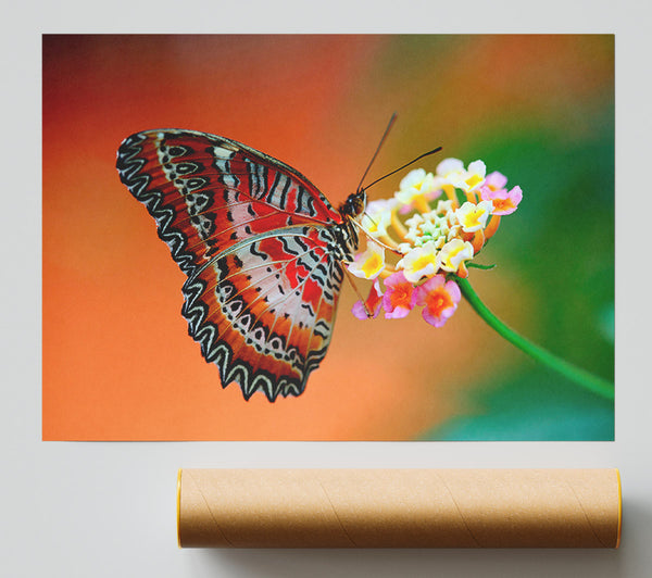 Colourful Butterfly Rests Giclee Print