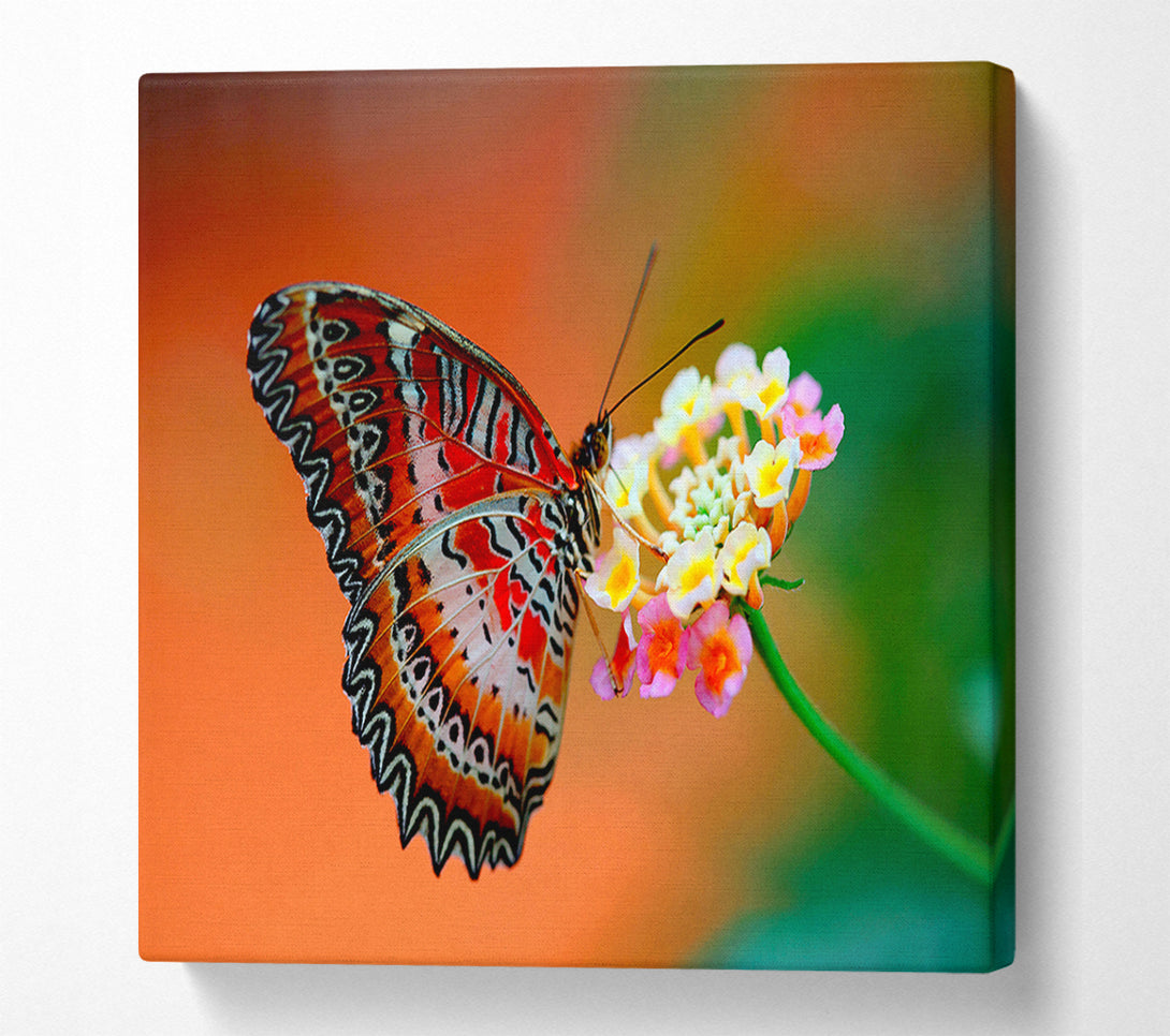  A Canvas Print of Colourful Butterfly Rests Canvas Wall Art