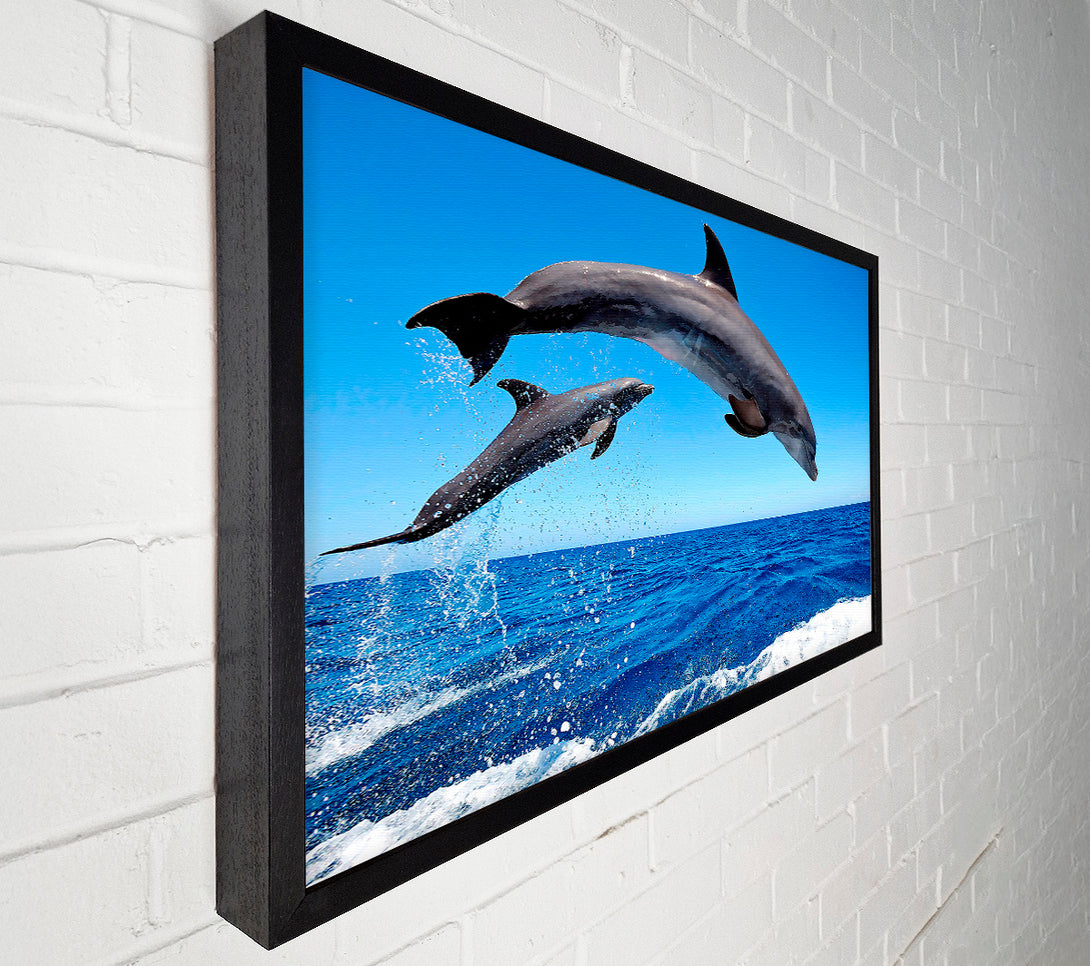  A Canvas Print of Common Bottlenose Dolphins Canvas Wall Art