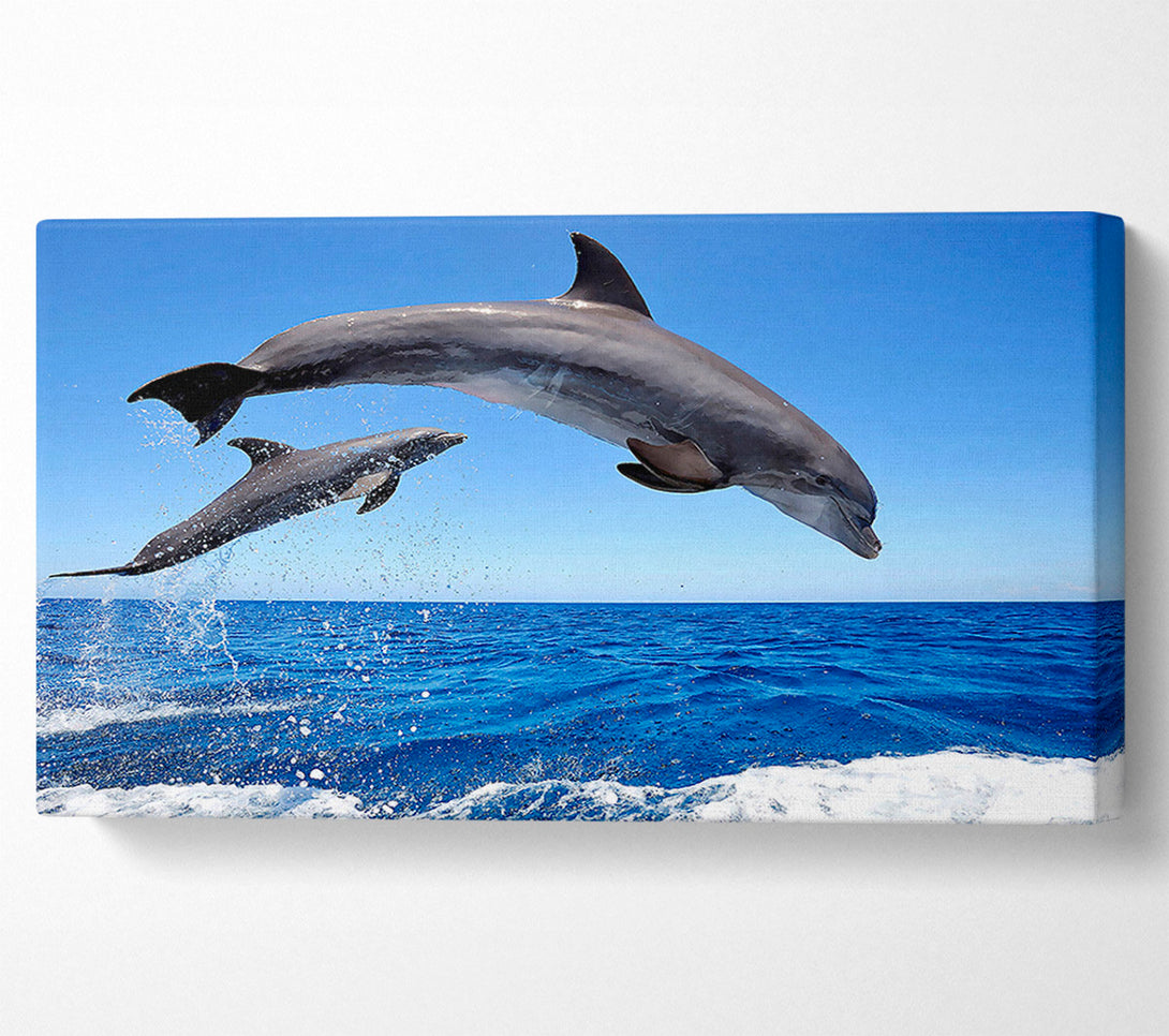 A Canvas Print of Common Bottlenose Dolphins Canvas Wall Art
