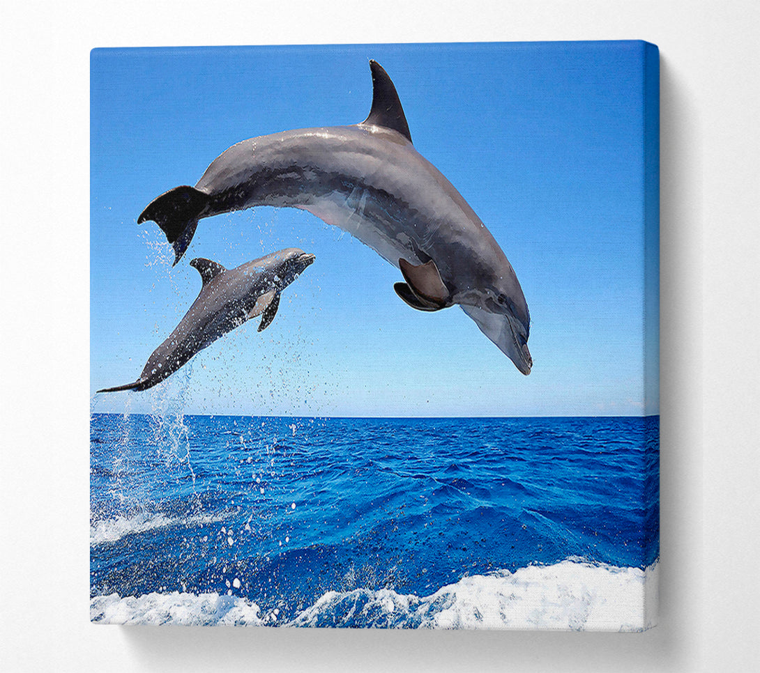  A Canvas Print of Common Bottlenose Dolphins Canvas Wall Art