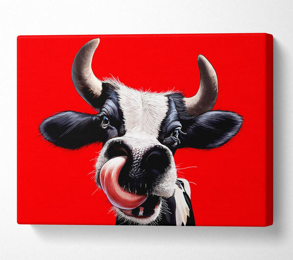 A Canvas Print of Cow You Do This Canvas Print