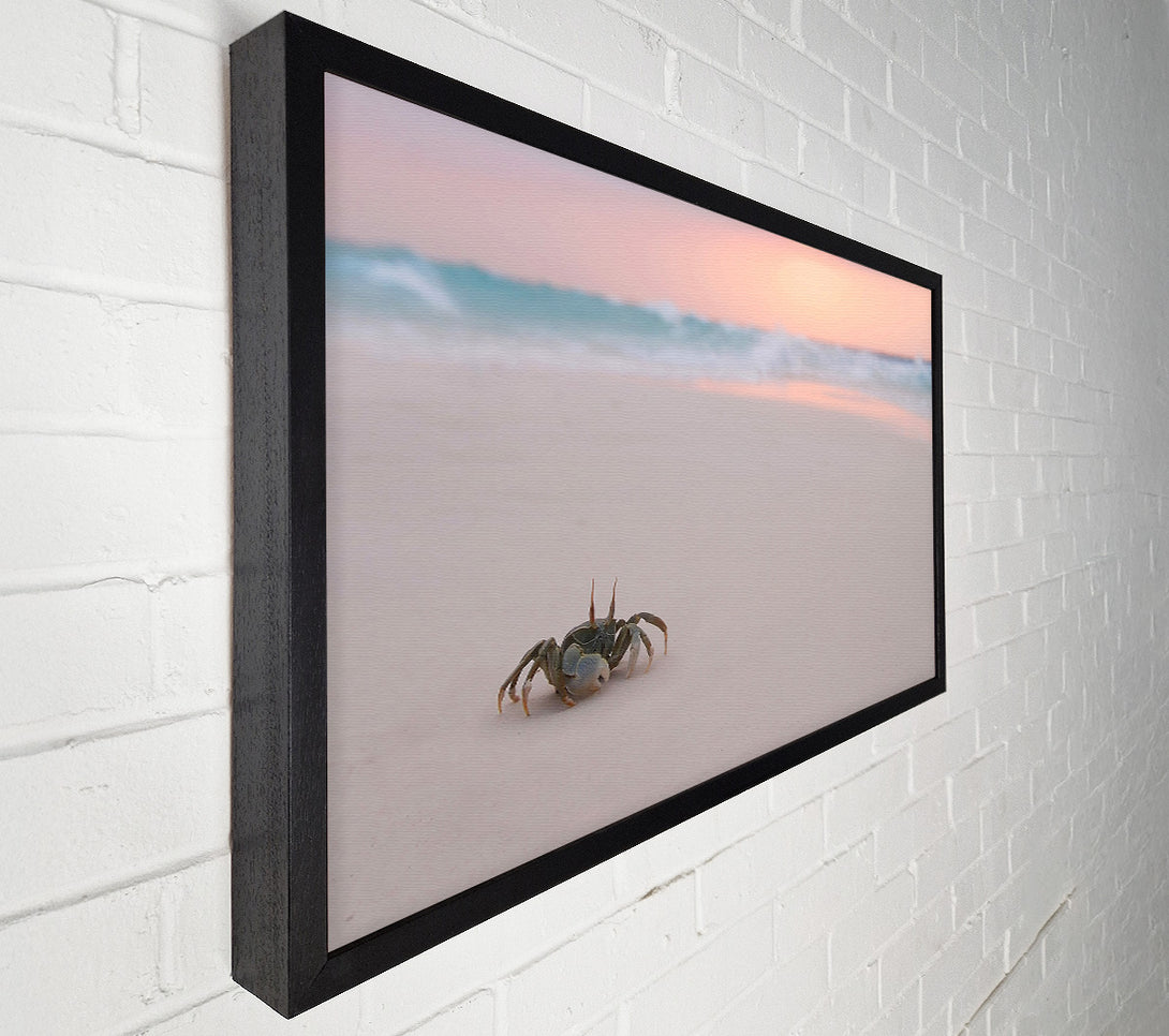  A Canvas Print of Crab On Beach Canvas Art