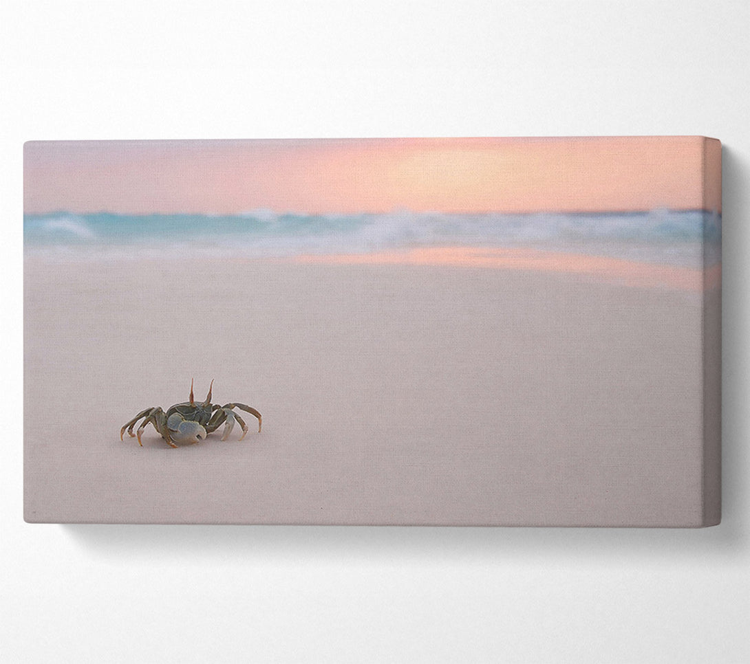  A Canvas Print of Crab On Beach Canvas Art