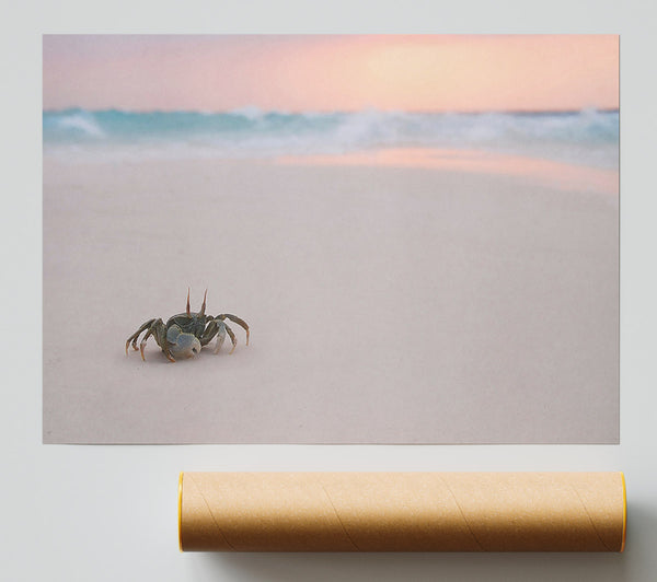 Crab On Beach Giclee Print