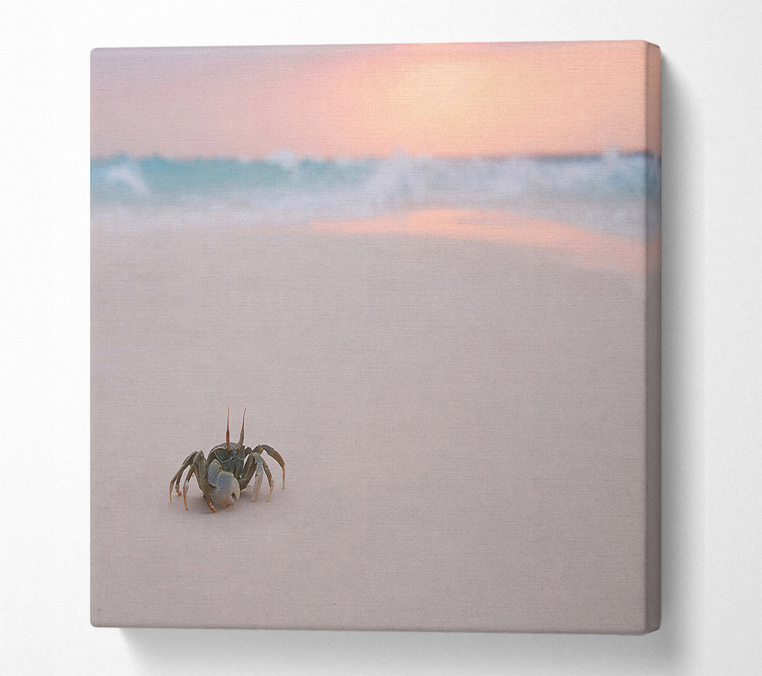  A Canvas Print of Crab On Beach Canvas Art