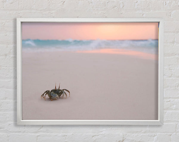 Crab On Beach Framed Print