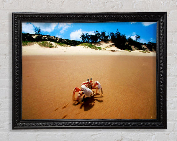 Crab Paradise Framed Print