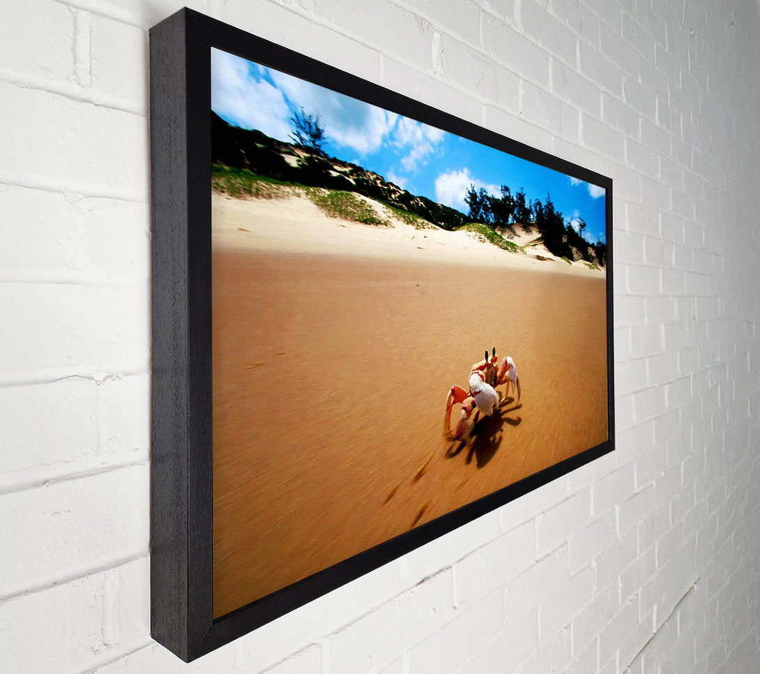  A Canvas Print of Crab Paradise Canvas Print