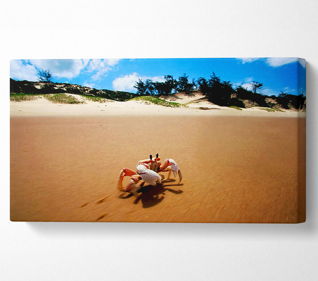  A Canvas Print of Crab Paradise Canvas Print