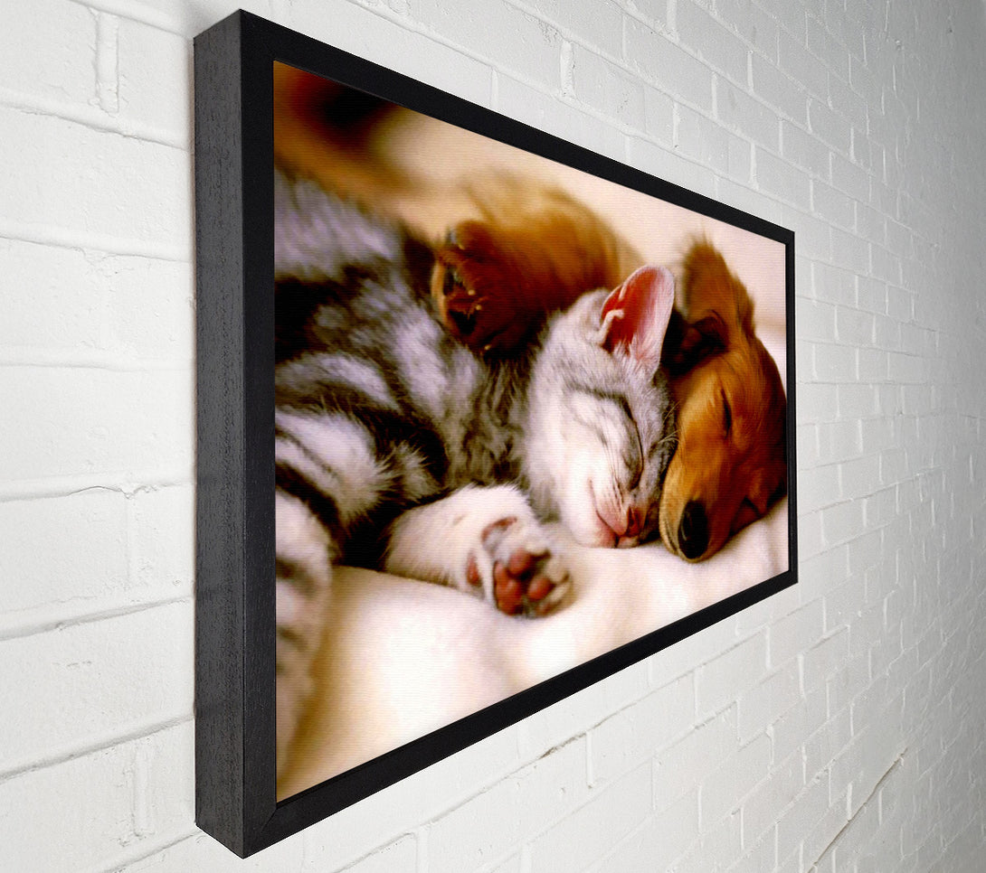  A Canvas Print of Cute Kitten And Puppy Canvas Art