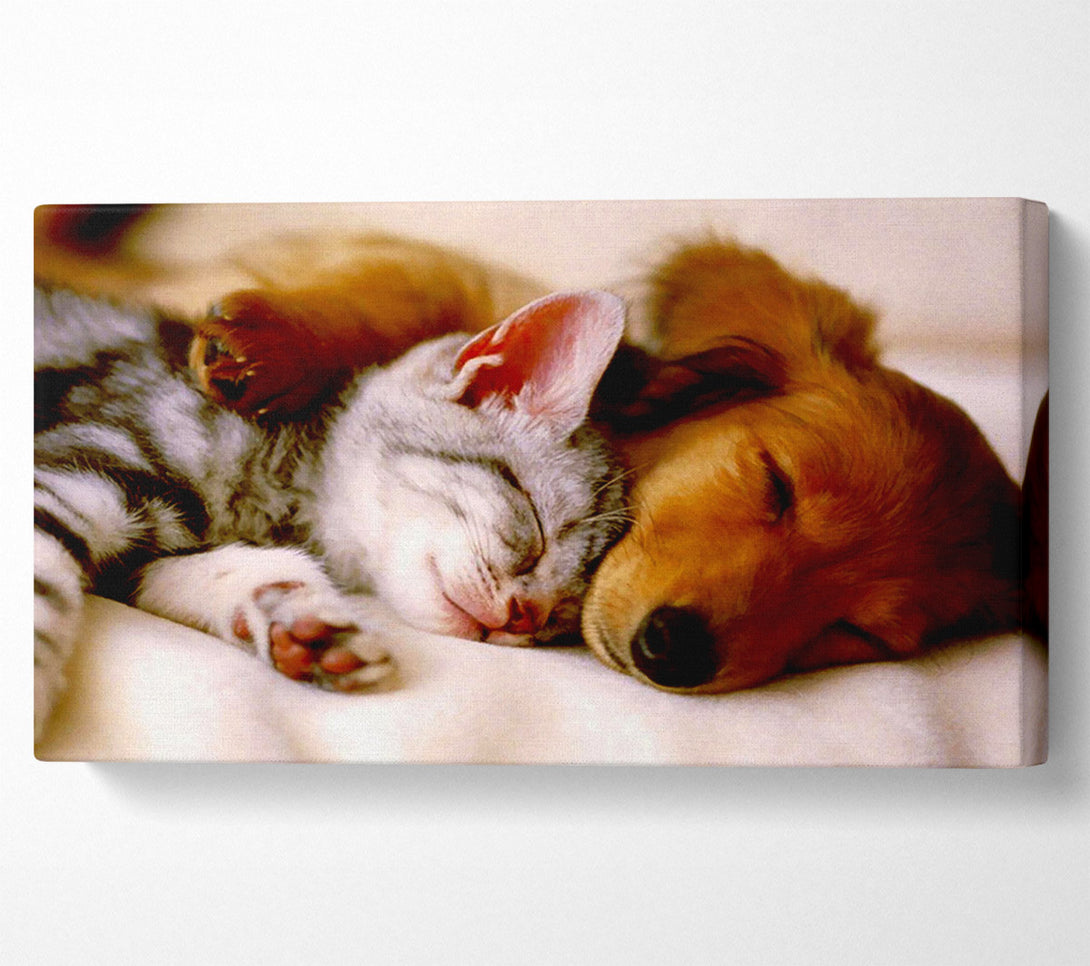  A Canvas Print of Cute Kitten And Puppy Canvas Art