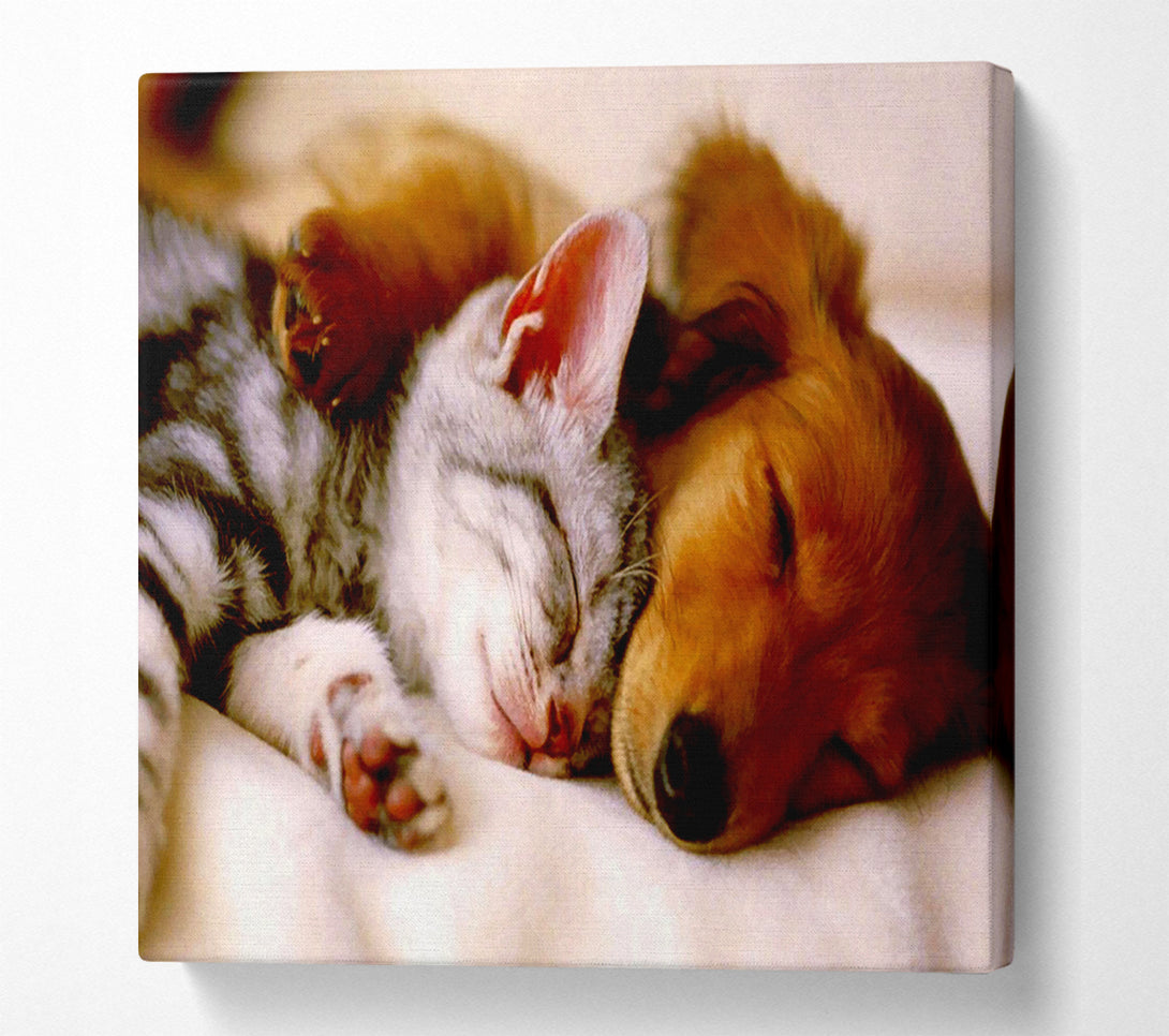  A Canvas Print of Cute Kitten And Puppy Canvas Art