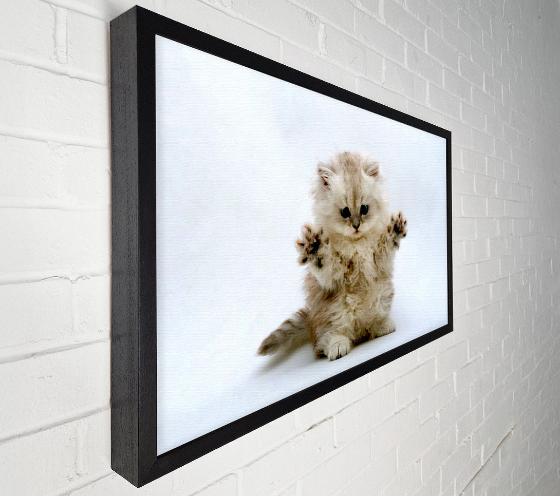  A Canvas Print of Cute Kitten Paws Canvas Art