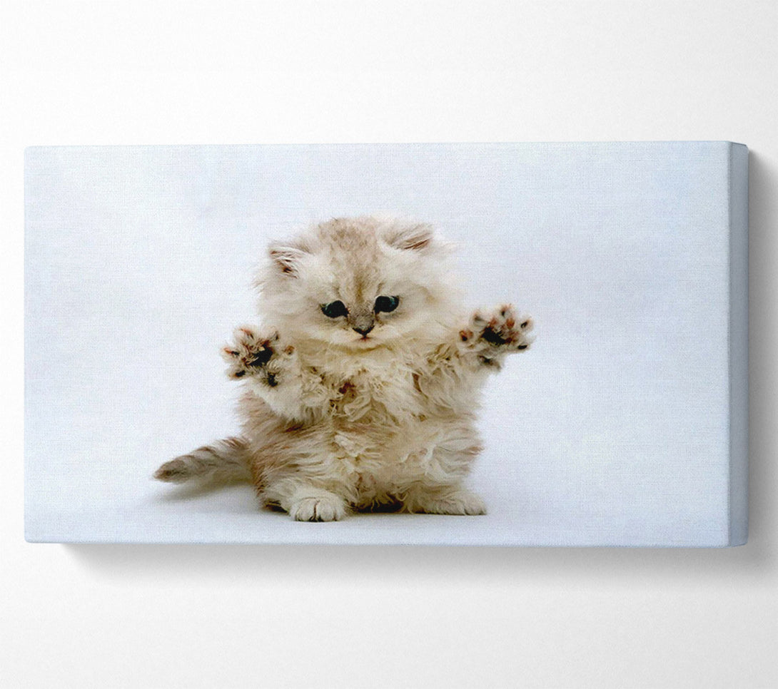  A Canvas Print of Cute Kitten Paws Canvas Art