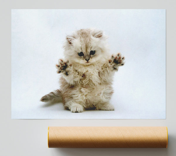 Cute Kitten Paws Giclee Print