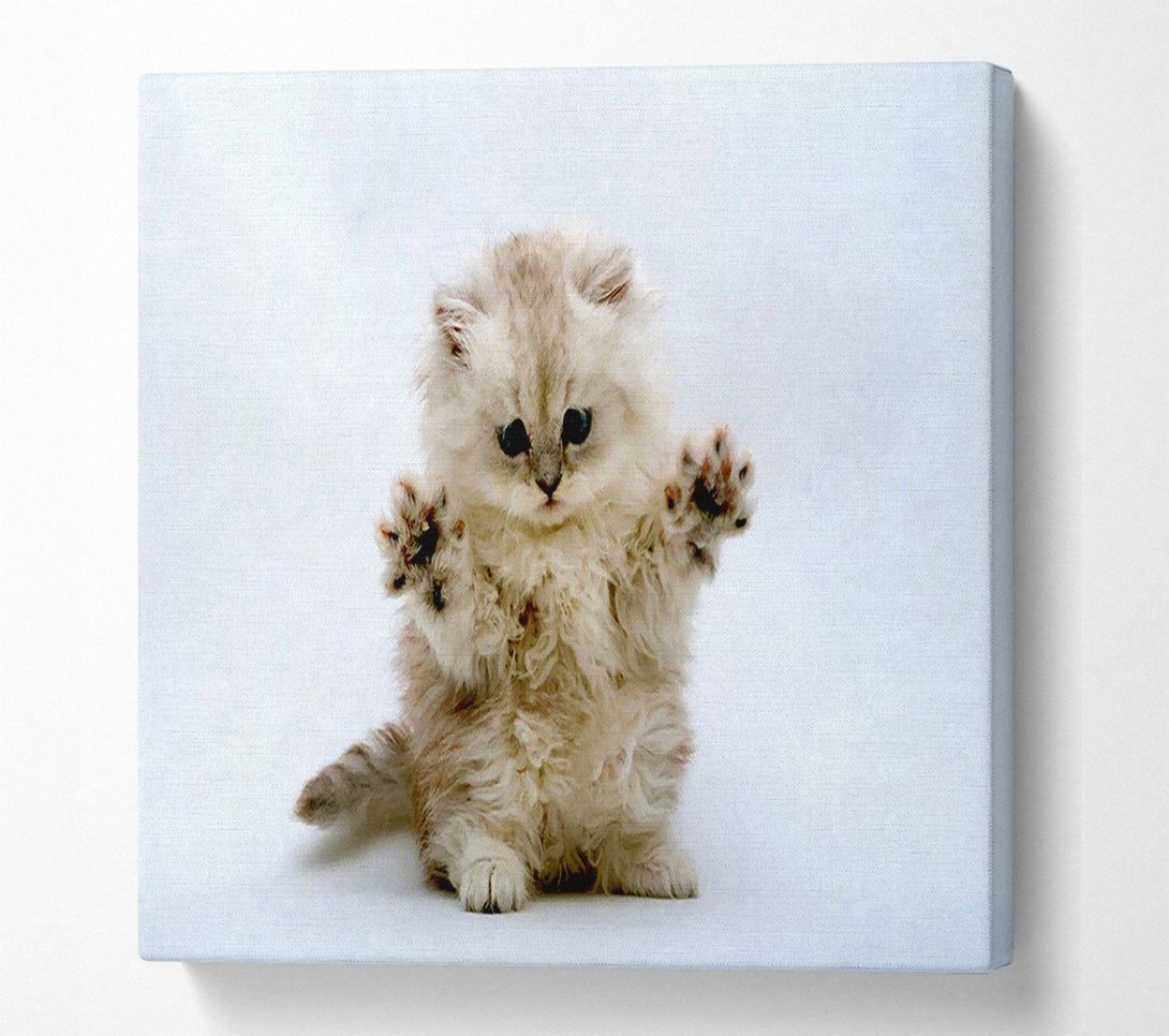 A Canvas Print of Cute Kitten Paws Canvas Art