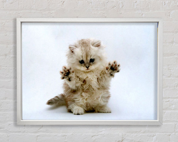 Cute Kitten Paws Framed Print