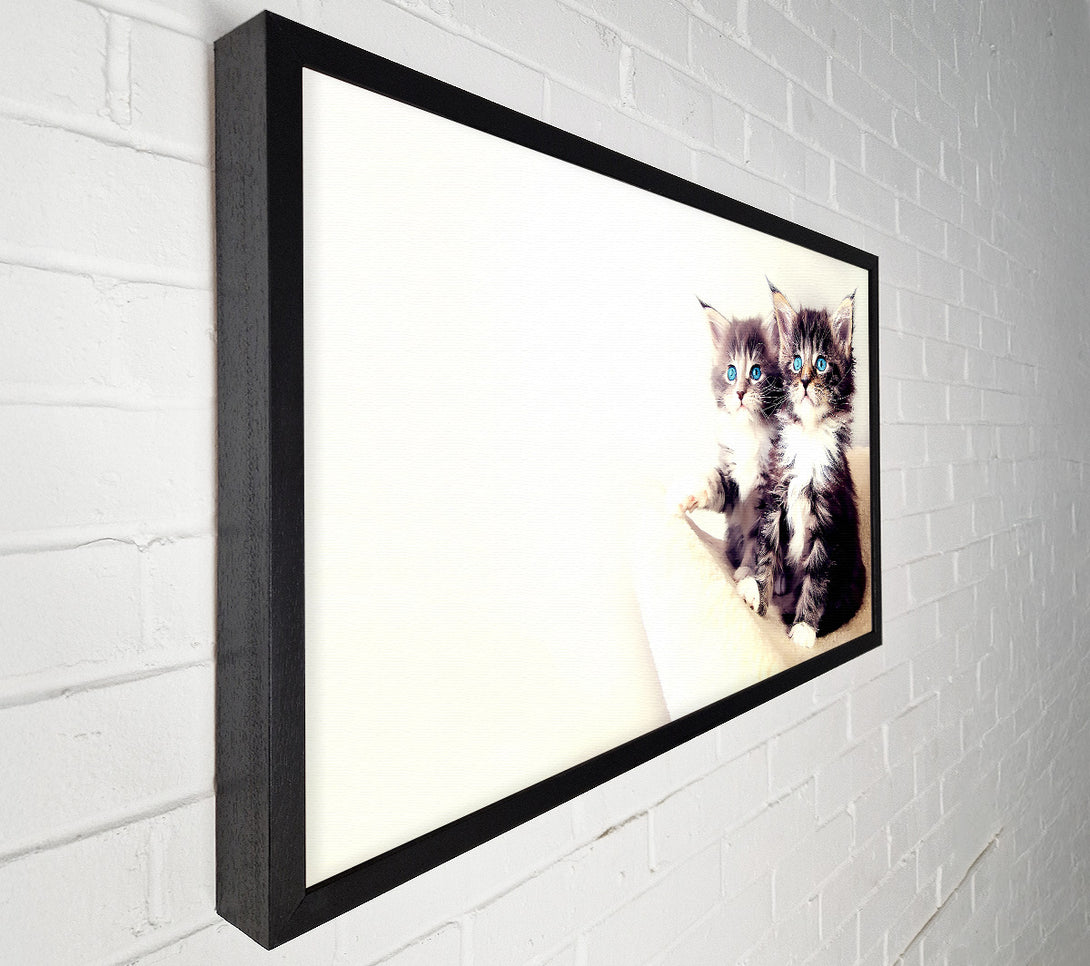 A Canvas Print of Cute Kittens Canvas Wall Art