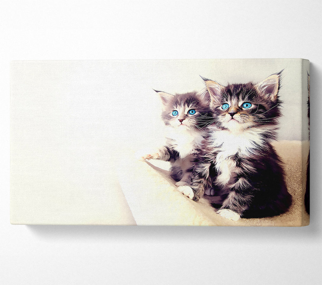  A Canvas Print of Cute Kittens Canvas Wall Art