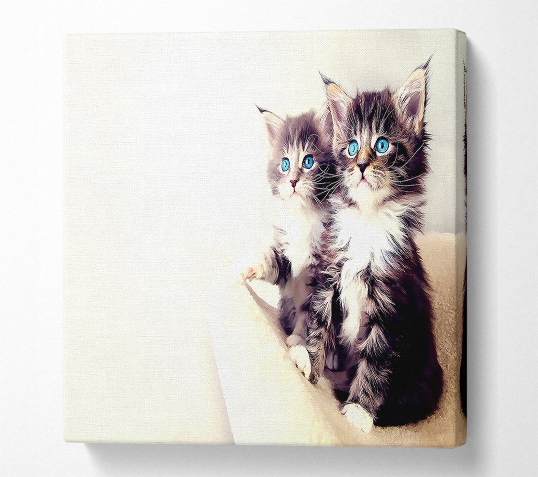  A Canvas Print of Cute Kittens Canvas Wall Art