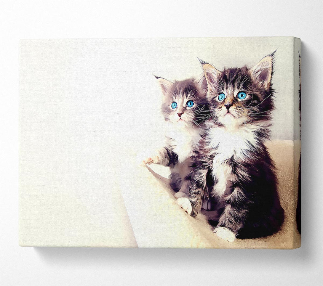  A Canvas Print of Cute Kittens Canvas Wall Art