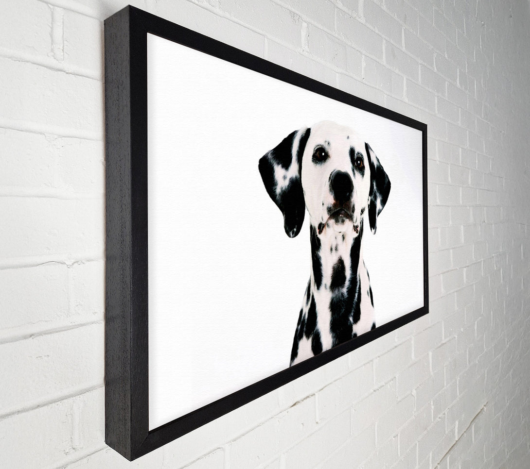  A Canvas Print of Dalmatian Beauty Canvas Art