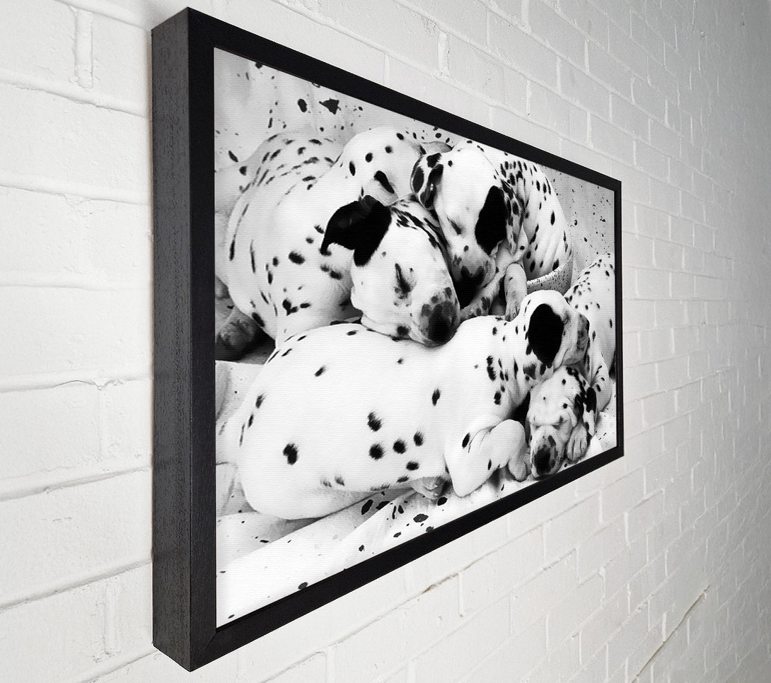  A Canvas Print of Dalmatian Puppies In Dreamland Canvas Print