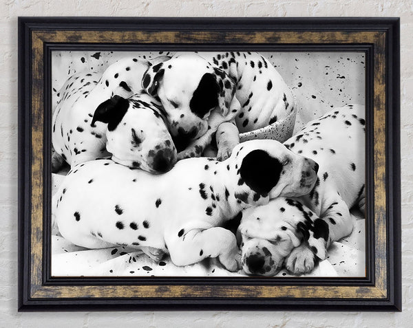 Dalmatian Puppies In Dreamland Framed Print