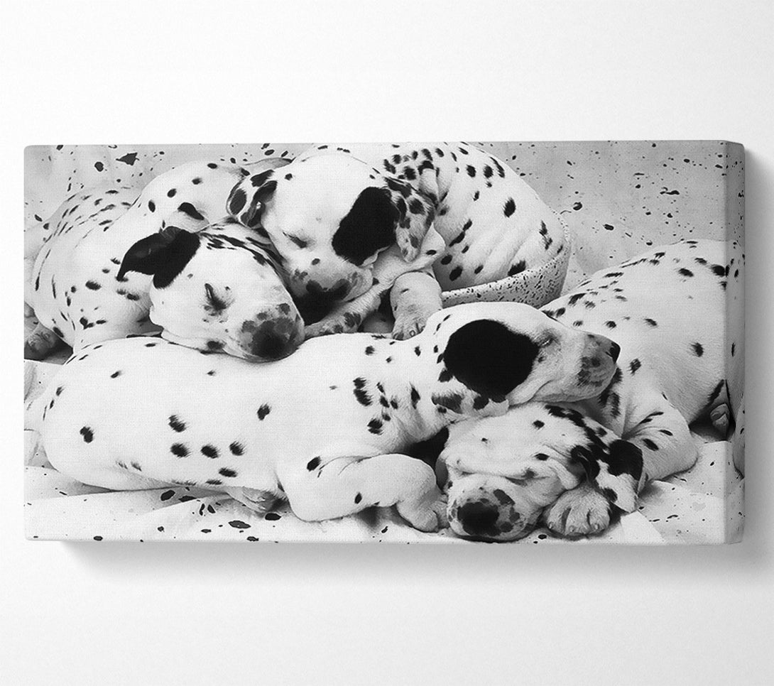  A Canvas Print of Dalmatian Puppies In Dreamland Canvas Print
