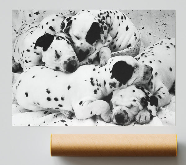 Dalmatian Puppies In Dreamland Print