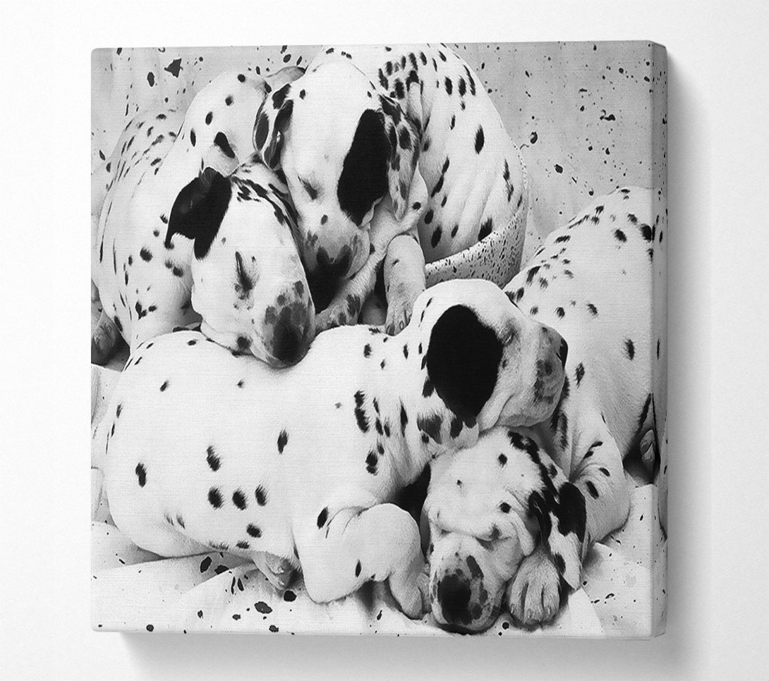  A Canvas Print of Dalmatian Puppies In Dreamland Canvas Print