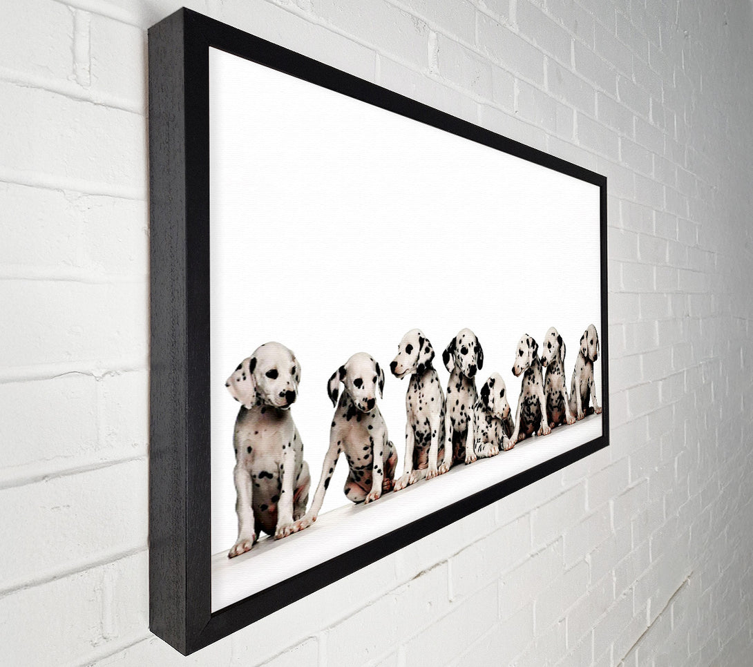  A Canvas Print of Dalmatian Puppy Fun Canvas Print