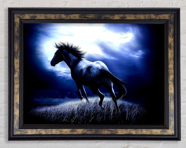 Dark Horse Framed Print