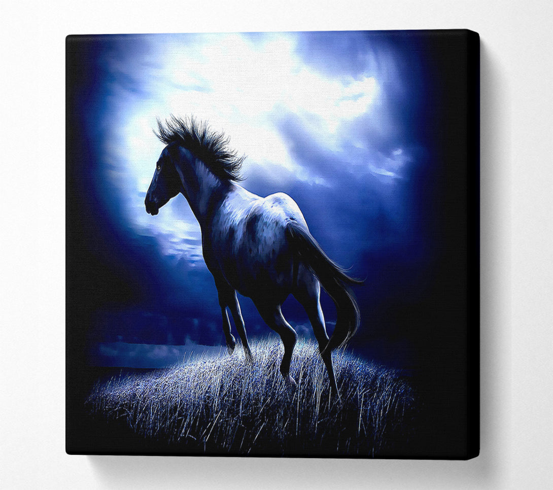  A Canvas Print of Dark Horse Canvas Wall Art